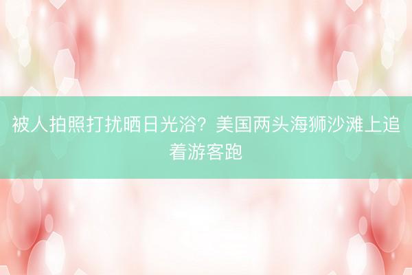 被人拍照打扰晒日光浴？美国两头海狮沙滩上追着游客跑