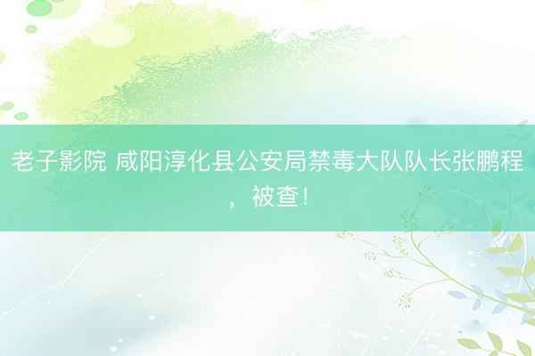 老子影院 咸阳淳化县公安局禁毒大队队长张鹏程，被查！