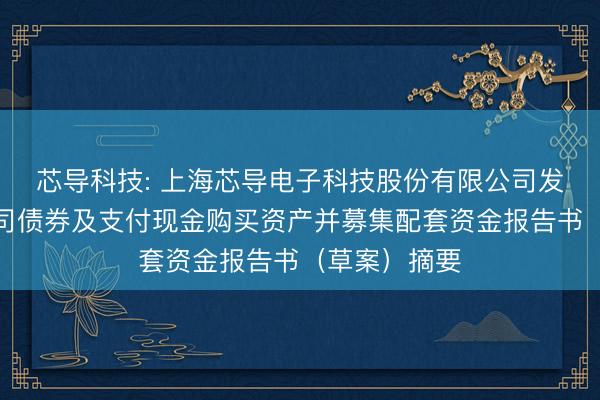 芯导科技: 上海芯导电子科技股份有限公司发行可转换公司债券及支付现金购买资产并募集配套资金报告书（草案）摘要
