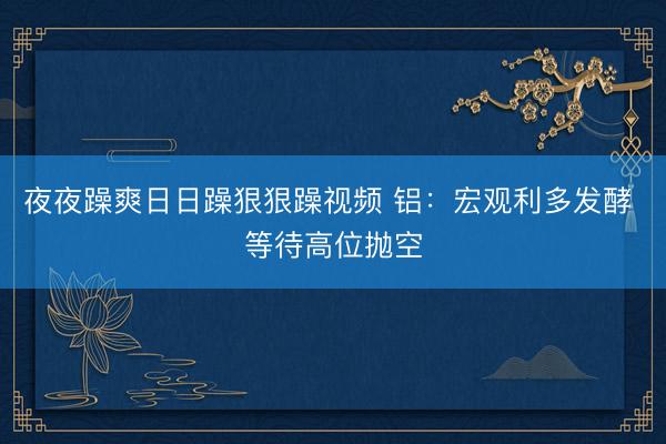 夜夜躁爽日日躁狠狠躁视频 铝：宏观利多发酵 等待高位抛空