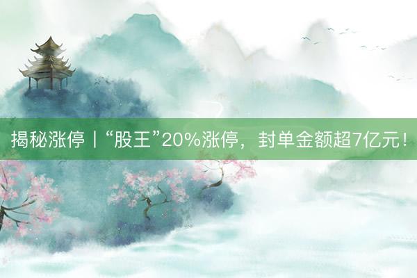 揭秘涨停丨“股王”20%涨停，封单金额超7亿元！