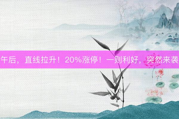 午后，直线拉升！20%涨停！一则利好，突然来袭