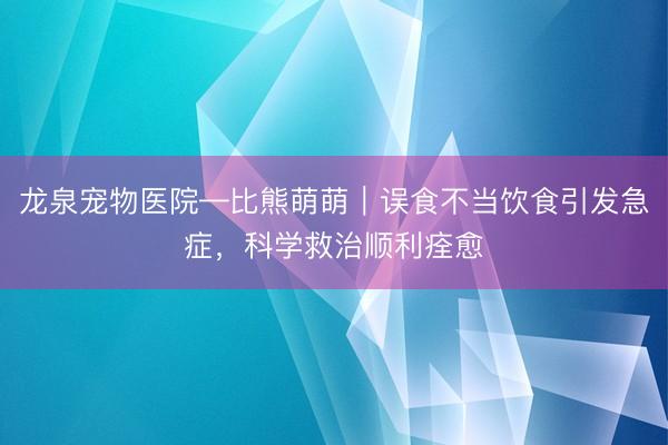 龙泉宠物医院—比熊萌萌｜误食不当饮食引发急症，科学救治顺利痊愈