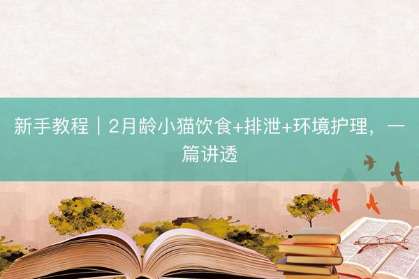新手教程｜2月龄小猫饮食+排泄+环境护理，一篇讲透