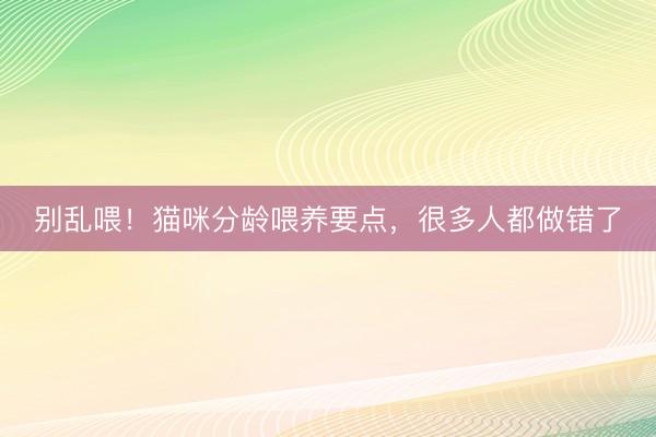 别乱喂！猫咪分龄喂养要点，很多人都做错了