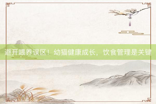 避开喂养误区！幼猫健康成长，饮食管理是关键