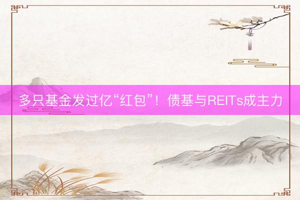 多只基金发过亿“红包”！债基与REITs成主力