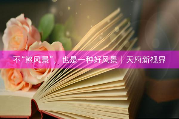 不“煞风景”，也是一种好风景｜天府新视界