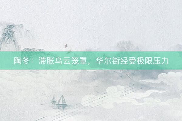 陶冬：滞胀乌云笼罩，华尔街经受极限压力