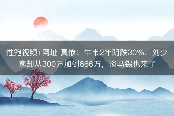 性鲍视频+网址 真惨！牛市2年阴跌30%，刘少鸾却从300万加到666万，淡马锡也来了