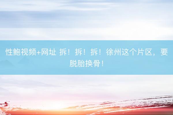性鲍视频+网址 拆！拆！拆！徐州这个片区，要脱胎换骨！