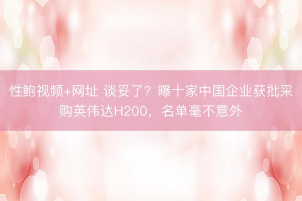 性鲍视频+网址 谈妥了？曝十家中国企业获批采购英伟达H200，名单毫不意外