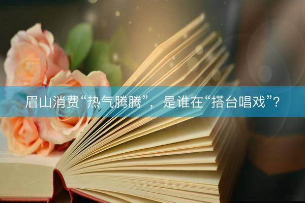 眉山消费“热气腾腾”，是谁在“搭台唱戏”？