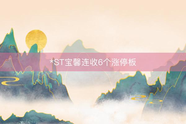 *ST宝馨连收6个涨停板