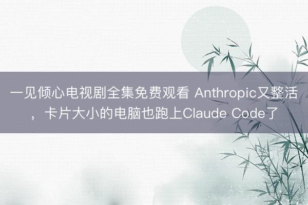 一见倾心电视剧全集免费观看 Anthropic又整活，卡片大小的电脑也跑上Claude Code了
