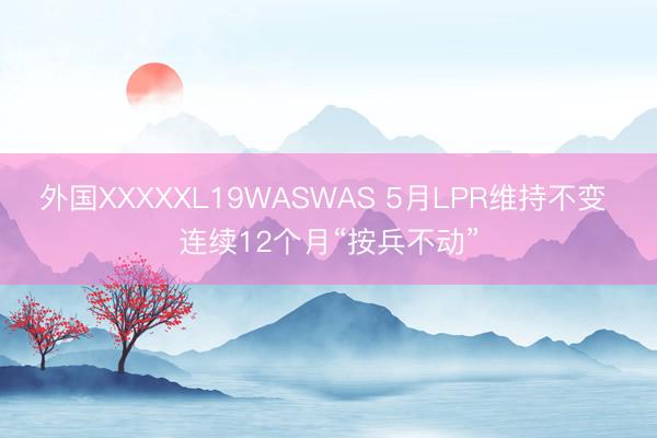 外国XXXXXL19WASWAS 5月LPR维持不变 连续12个月“按兵不动”