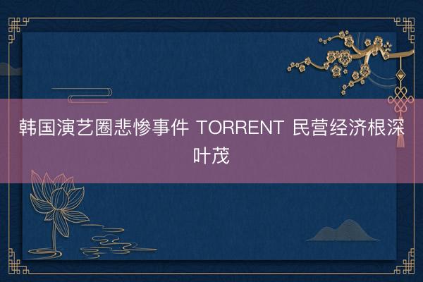 韩国演艺圈悲惨事件 TORRENT 民营经济根深叶茂