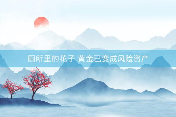 厕所里的花子 黄金已变成风险资产