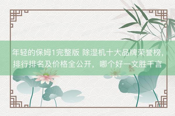 年轻的保姆1完整版 除湿机十大品牌荣誉榜，排行排名及价格全公开，哪个好一文胜千言