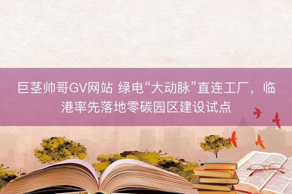 巨茎帅哥GV网站 绿电“大动脉”直连工厂，临港率先落地零碳园区建设试点