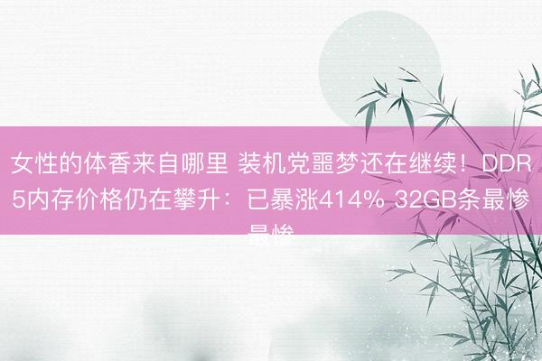 女性的体香来自哪里 装机党噩梦还在继续！DDR5内存价格仍在攀升：已暴涨414% 32GB条最惨