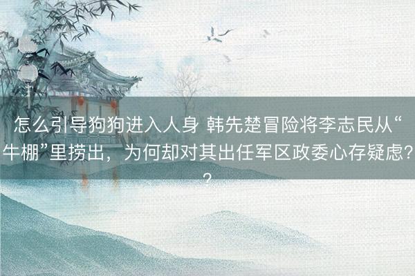 怎么引导狗狗进入人身 韩先楚冒险将李志民从“牛棚”里捞出，为何却对其出任军区政委心存疑虑？