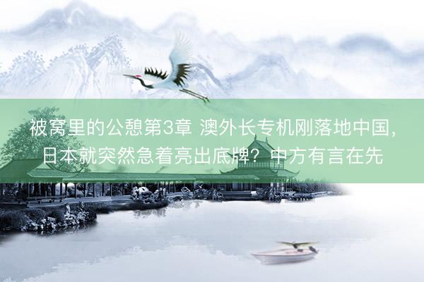 被窝里的公憩第3章 澳外长专机刚落地中国，日本就突然急着亮出底牌？中方有言在先
