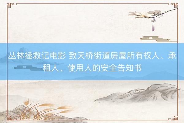 丛林拯救记电影 致天桥街道房屋所有权人、承租人、使用人的安全告知书