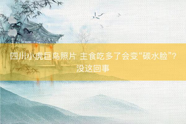 四川小虎巨鸟照片 主食吃多了会变“碳水脸”？没这回事
