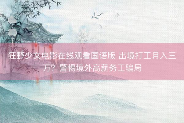 狂野少女电影在线观看国语版 出境打工月入三万？警惕境外高薪务工骗局