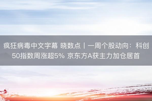 疯狂病毒中文字幕 晓数点丨一周个股动向：科创50指数周涨超5% 京东方A获主力加仓居首