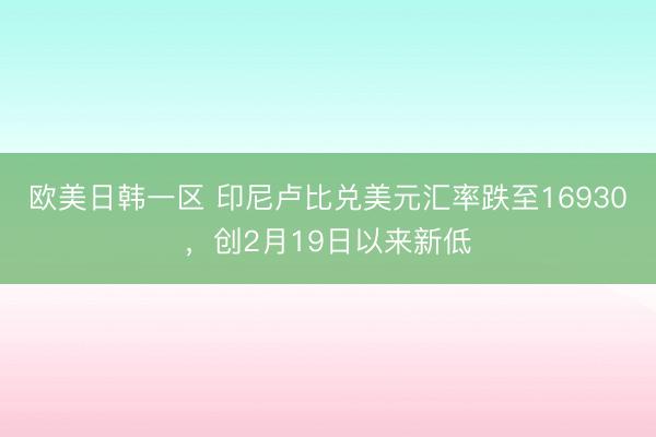 欧美日韩一区 印尼卢比兑美元汇率跌至16930，创2月19日以来新低