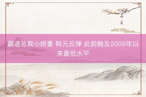 霸道总裁小娇妻 韩元反弹 此前触及2009年以来最低水平