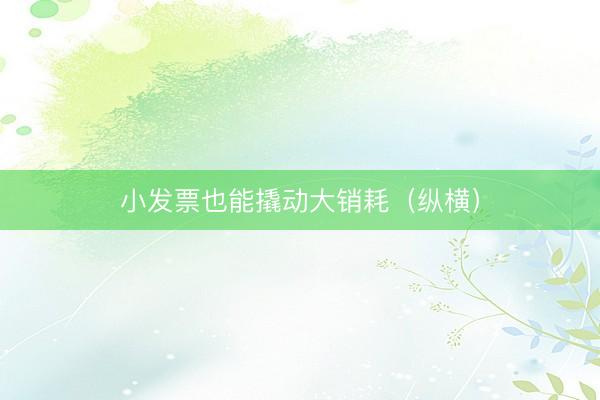 小发票也能撬动大销耗（纵横）