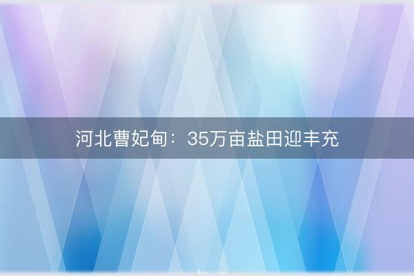 河北曹妃甸：35万亩盐田迎丰充
