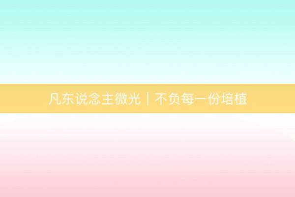 凡东说念主微光｜不负每一份培植