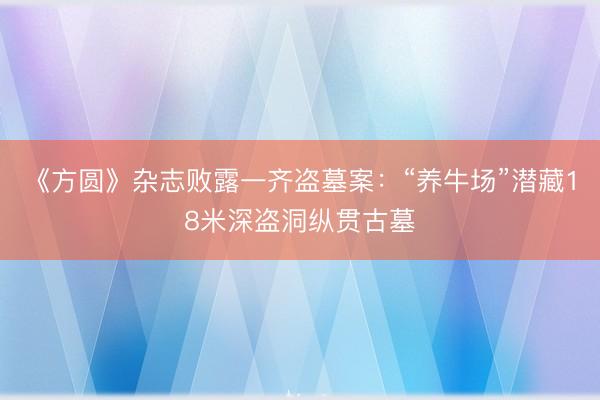 《方圆》杂志败露一齐盗墓案：“养牛场”潜藏18米深盗洞纵贯古墓