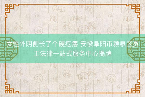 女性外阴侧长了个硬疙瘩 安徽阜阳市颍泉区员工法律一站式服务中心揭牌