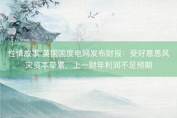 性情故事 英国国度电网发布财报：受好意思风灾资本牵累，上一财年利润不足预期