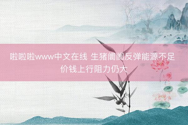 啦啦啦www中文在线 生猪阛阓反弹能源不足 价钱上行阻力仍大