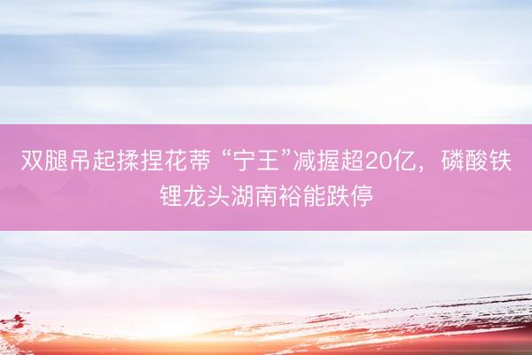 双腿吊起揉捏花蒂 “宁王”减握超20亿，磷酸铁锂龙头湖南裕能跌停