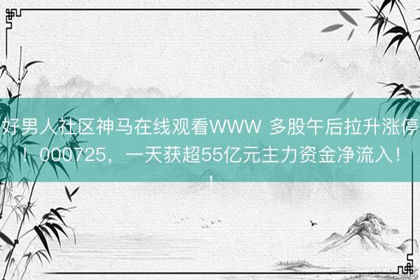 好男人社区神马在线观看WWW 多股午后拉升涨停！000725，一天获超55亿元主力资金净流入！