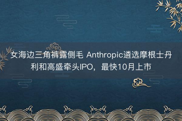 女海边三角裤露侧毛 Anthropic遴选摩根士丹利和高盛牵头IPO，最快10月上市