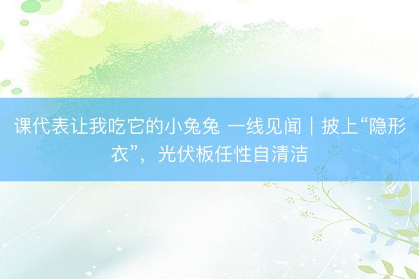 课代表让我吃它的小兔兔 一线见闻｜披上“隐形衣”，光伏板任性自清洁