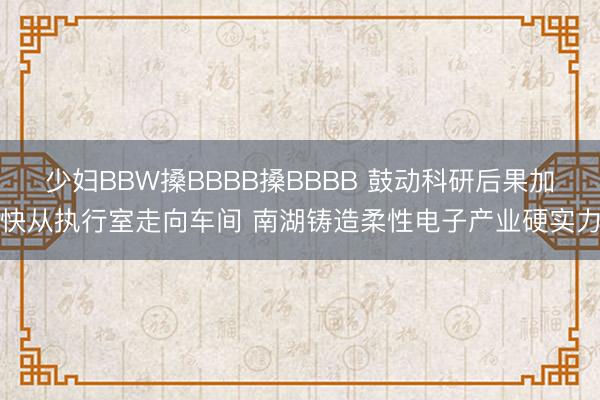 少妇BBW搡BBBB搡BBBB 鼓动科研后果加快从执行室走向车间 南湖铸造柔性电子产业硬实力