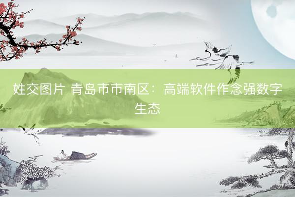 姓交图片 青岛市市南区：高端软件作念强数字生态