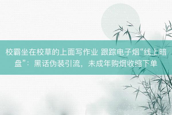 校霸坐在校草的上面写作业 跟踪电子烟“线上暗盘”：黑话伪装引流，未成年购烟收缩下单