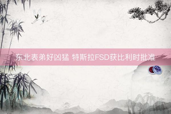 东北表弟好凶猛 特斯拉FSD获比利时批准