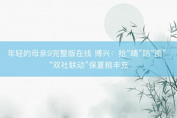 年轻的母亲9完整版在线 博兴：抢“晴”防“雨” “双社联动”保夏粮丰充