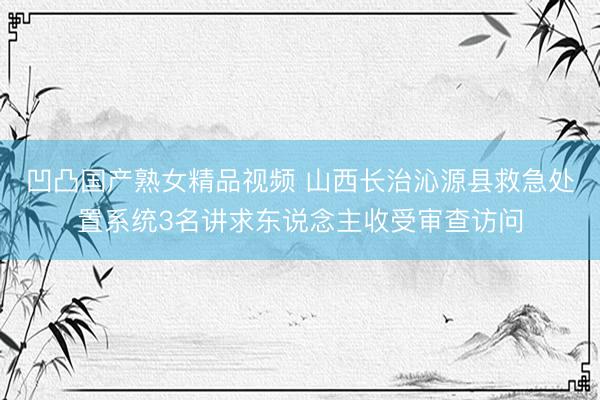 凹凸国产熟女精品视频 山西长治沁源县救急处置系统3名讲求东说念主收受审查访问